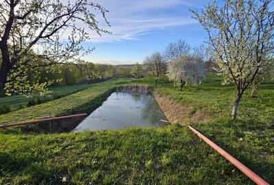 OPORTUNITATE!!! Casă cu iaz – cadru natural deosebit, la 17 km de  Pascani - 1