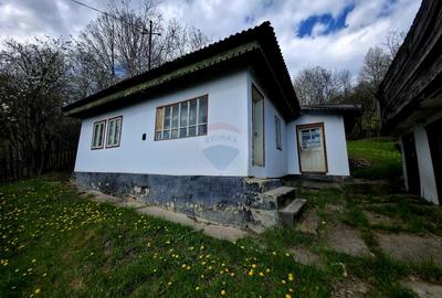 Teren 711mp Hangu / DN GROZAVESTI - 8