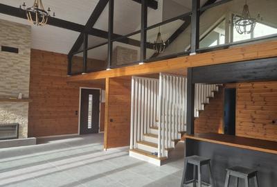 Oportunitate de investitie Toplita - 2