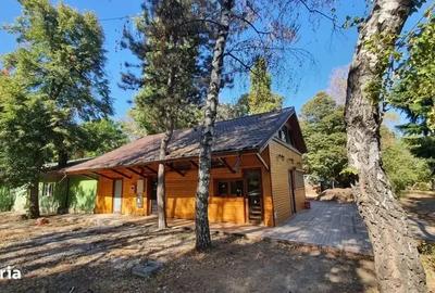 Investiție Excepțională Parcul Herăstrău | Spațiu HoReCa |Terase ample - 3