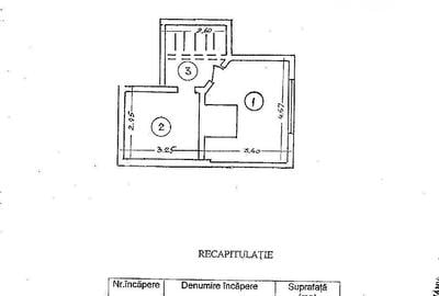 Piata Muncii, vila singur curte, 8 camere, 227 mp utili - 30