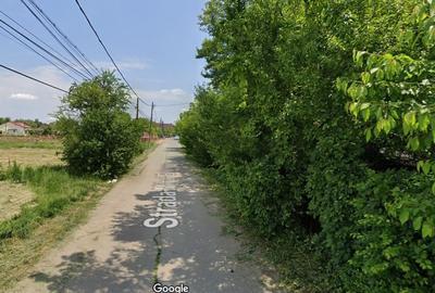 Izvorani | Deschidere la Lacul Snagov | Aparare de mal - 5