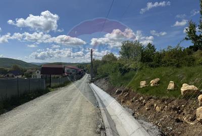 Teren intravilan 2307 mp în Salicea, zona premium, aproape de Cluj - 8