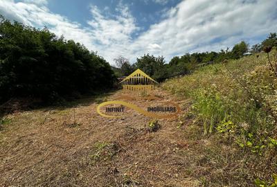 Teren extravilan de vanzare Crihan Bacau - 3