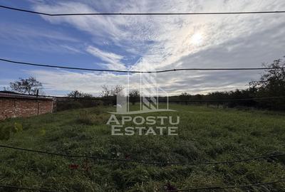 Casa individuala, 4 camere, 2600mp teren, Barcea Mare in Hunedoara - 18