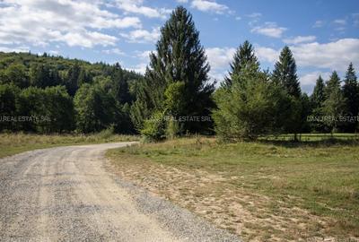 Teren Intravilan 3.300 mp in fata lacului  – Vulcan Brasov - 19