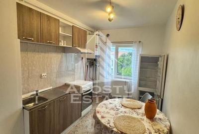 Apartament cu 2 camere, de inchiriat, Take Ionescu, Timisoara - 4