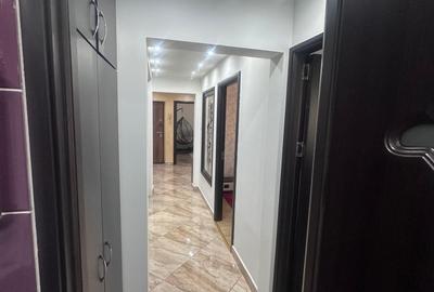 Apartament 3 camere de vanzare Dristor - 9