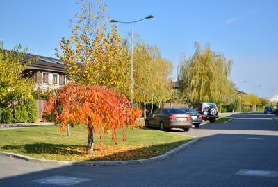 3 bedrooms villa for rent in Oxford Gardens