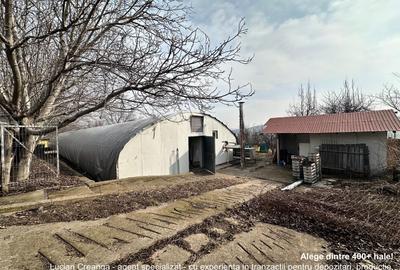 Hala/ cort ciupercarie, crestere pui, 400mp, Dumesti - 1