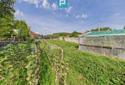 Casă și centru comercial, în localitatea Lazuri - 11