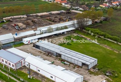 Hale depozitare/producție 2.000 mp si 10.000 mp teren în Pecica - 2