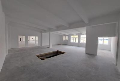 Spatiu industrial, 439 mp utili, situat in zona Taietura Turcului! - 7