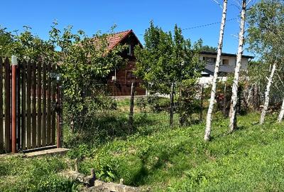 Casa din lemon cu teren in Uileacu de Munte - 6