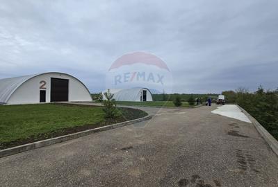 Hale de vanzare | 1407mp | Teren 9344 | Potigrafu - 2