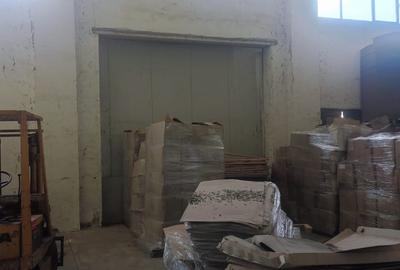 Hala renovata Orasul  Alexandria - 4