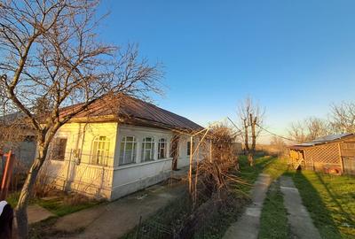 Casa in Blejesti,Teleorman,semi-independenta energetic, renovata complet in 2024 - 1