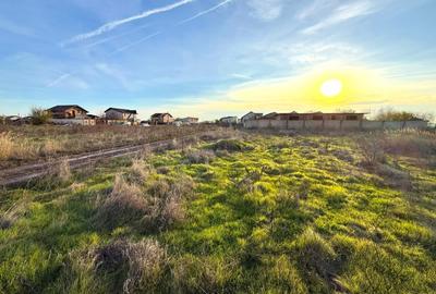 Teren Intravilan 468mp Lebedelor Com. Berceni | utilitati | #CG2R - 1