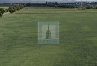 Teren intravilan 50000 mp, cu PUZ, Aprobat - zona Halchiu/Codlea - 9