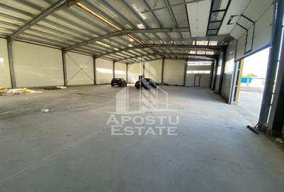 Hala noua de inchiriat 550 mp, birouri, parcare, Sacalaz. - 1
