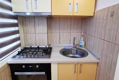 Amenajat complet, mobilat si utilat, model mare - 4