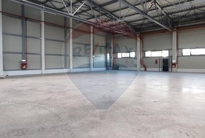 Spațiu industrial Clasa A - Otopeni Hala productie depozitare - 4