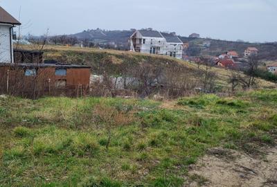 Vanzare Teren intravilan 3133 mp strada Sofiei, Oradea, Bihor - Exclusivitatate - 7