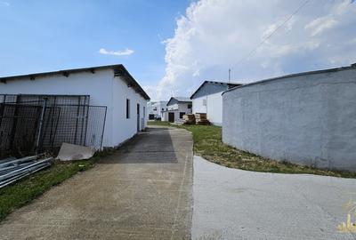 Proprietate industriala renovata | 2 hale de vanzare in zona Seleus - 11
