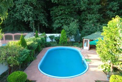 Vila piscina superba gradina matura cu iesire directa la padure - 41