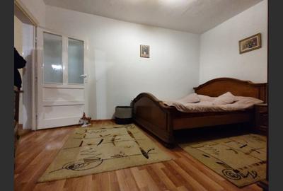 Casa cu mansarda, 7 camere, anexe, Sanmartin - 15