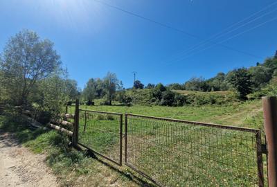 Vindem 17940 mp Salatruc - Vama - Bucovina - 1