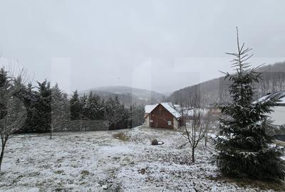 Casa individuala, cu teren de 1200 mp - Salicea - 1