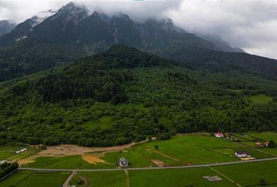 In cartea de povesti a Pietrei Craiului, ansamblu turistic in circuit,Plaiul Foi - 14