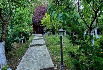 Moreni , Dambovita , vanzare proprietate -casa si teren - 27