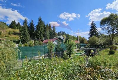 Casă / Vilă de vacanta in Dorna Arini, Suceava - 43