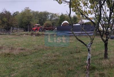 VIla de vanzare Teisani Stubeiu 11250 mp - 8