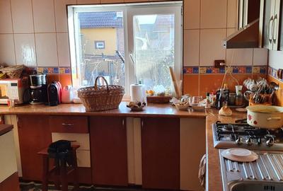 Casă / Pensiune de vânzare – Balta, Gorj - 11