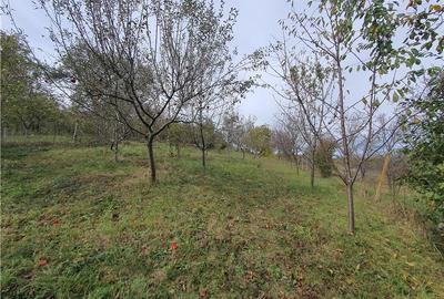 Casă Tradițională Săsească ?n loc.Aciliu cu 2974mp tere - 26