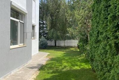 Vila 5 camere cu curte matura in Otopeni - 5