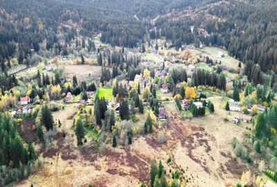 Poiana lui Manole - teren Intravilan - 28