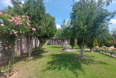Snagov- Gruiu- Santul Floresti -Proprietate cu stil pentru oameni gospodari! - 45