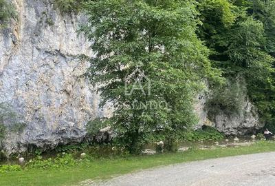 Teren Investiție Turistică Dâmbovicioara Baranga | 4.500 mp - 15