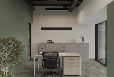 River Place & RiverView House – Birouri amenajate gata de inchiriere - 5