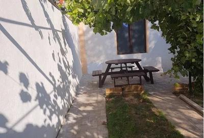 Vila de inchiriat Trocadero - 4