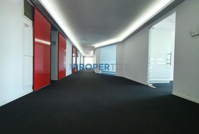 Comision 0! Spatiu birouri in zona ultracentrala - 368mp - compartimentat - 19