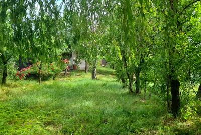 Casa de vanzare sat Manastioara, com. Fitionesti, jud. Vrancea, - 4