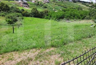 Casa si teren 3450mp, panorama superba asupra orasului - 8