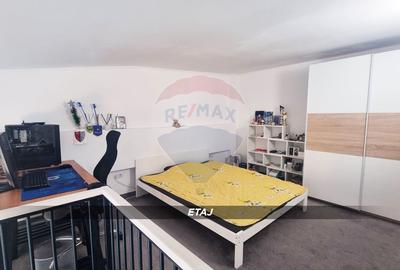 Apartament 3 camere, doua niveluri, compartimentare unica-Victor Babes - 11