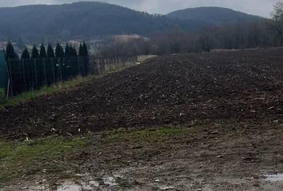 6700 MP TEREN ALBESTI- SIGHISOARA - 4