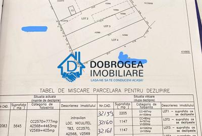 NICULITEL-CASA BATRNEASCA 3 CAMERE,TEREN 2205 MP, DESCHIDERE 31 ML+TEREN 1147 MP - 5
